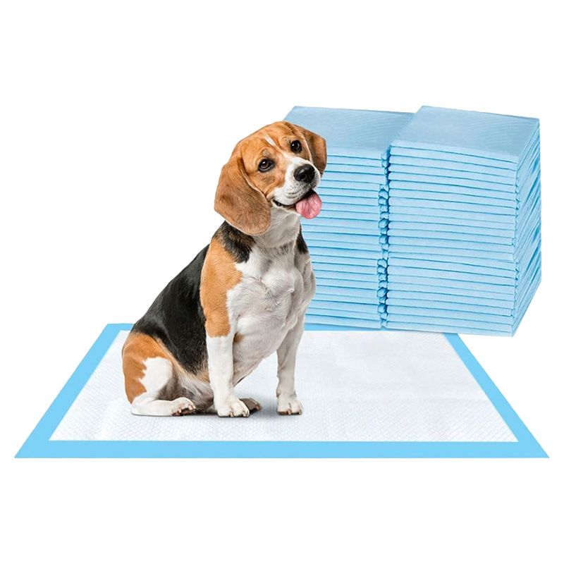 Pad best sale the dog